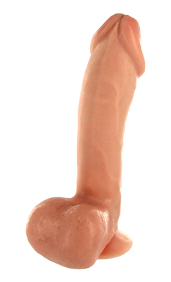 Morning Wood 6.5 Inch Dildo with Suction Cup 
